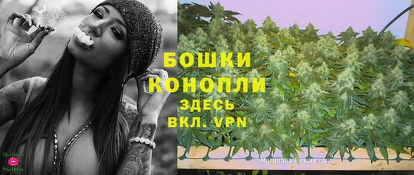 ГАЛЛЮЦИНОГЕННЫЕ ГРИБЫ Гусев