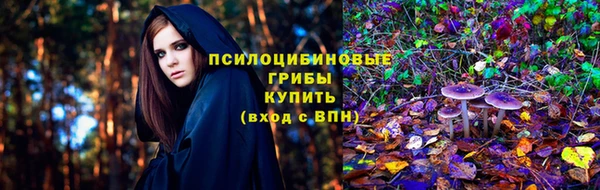 COCAINE Гусь-Хрустальный