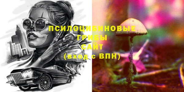 твердый Гусиноозёрск