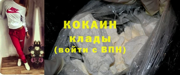 шишки Киселёвск