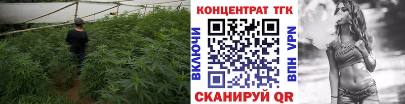 купить наркоту  Похвистнево  kraken как войти  Дистиллят ТГК вейп 