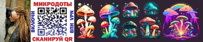 Псилоцибиновые грибы Cubensis  Похвистнево 