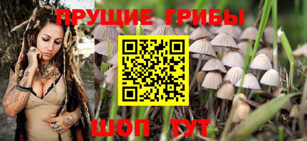Галлюциногенные грибы мухоморы Похвистнево