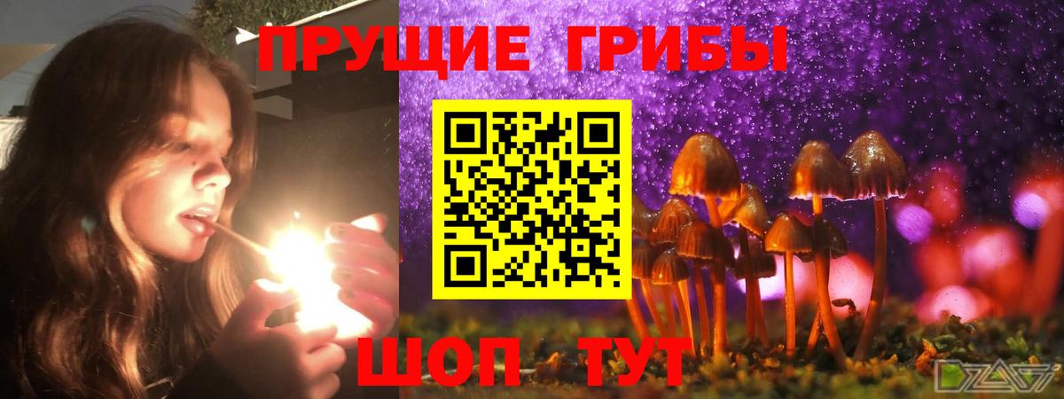 хочу   Галлюциногенные грибы Psilocybe  Вход с VPN  Похвистнево 